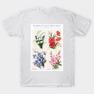 Flower watercolor illustration (1915) T-Shirt